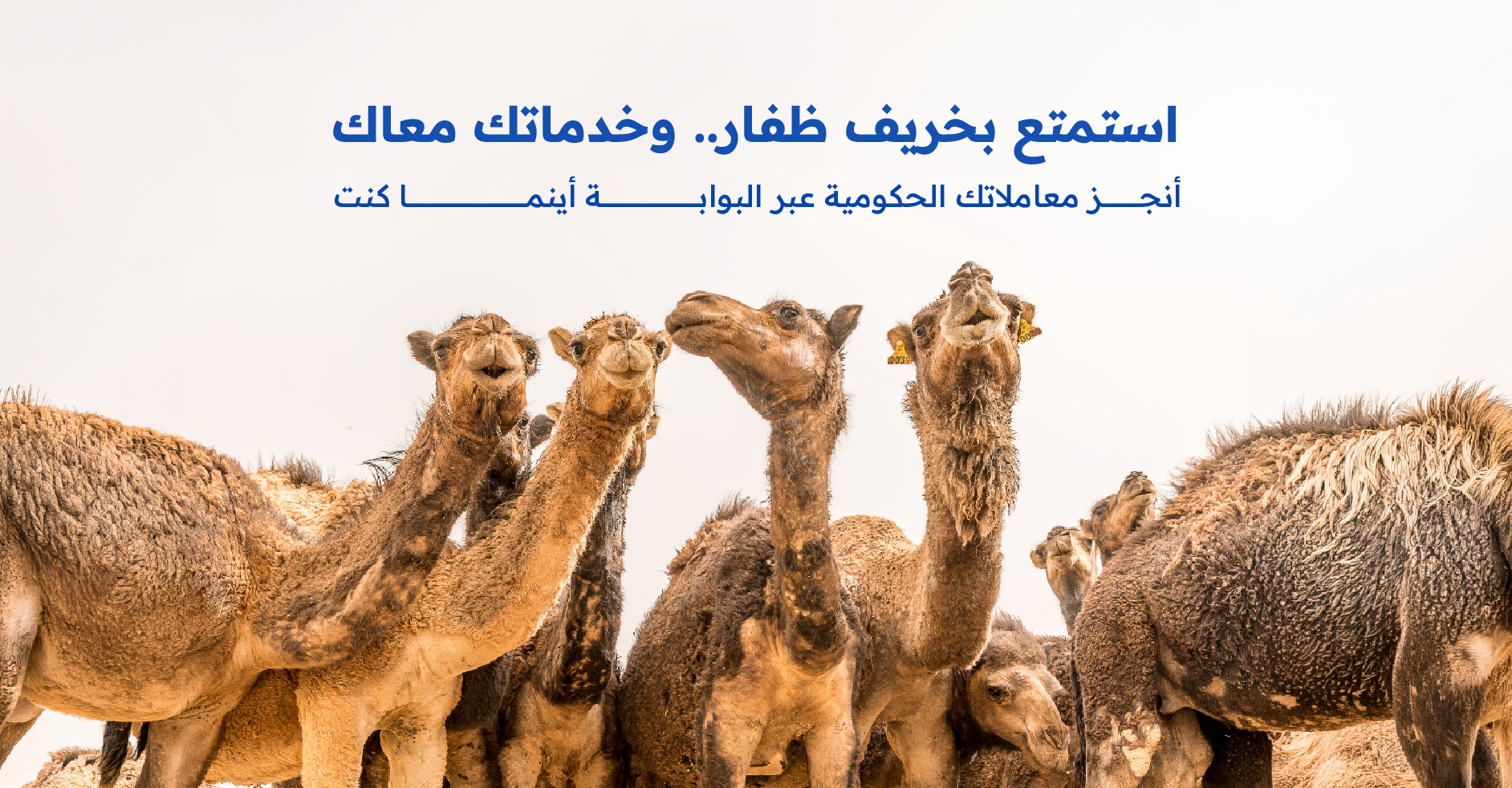 خريف ظفار